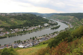Zell - Merl - vakantiewoning aan de Moezel - Duitsland